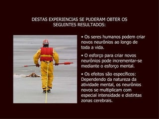 Os seres humanos podem criar novos neurônios ao longo de toda a vida. O esforço para criar novos neurônios pode incrementar-se mediante o esforço mental. Os efeitos são específicos: Dependendo da natureza da atividade mental, os neurônios novos se multiplicam com especial intensidade e distintas zonas cerebrais. DESTAS EXPERIENCIAS SE PUDERAM OBTER OS SEGUINTES RESULTADOS: 