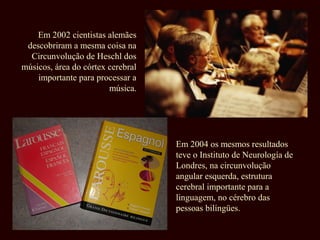 Em 2002 cientistas alemães 
descobriram a mesma coisa na 
Circunvolução de Heschl dos 
músicos, área do córtex cerebral 
importante para processar a 
música. 
Em 2004 os mesmos resultados 
teve o Instituto de Neurología de 
Londres, na circunvolução 
angular esquerda, estrutura 
cerebral importante para a 
linguagem, no cérebro das 
pessoas bilíngües. 
 