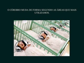 O CÉREBRO MUDA DE FORMA SEGUNDO AS ÁREAS QUE MAIS
UTILIZAMOS.
 