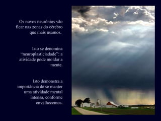 Os novos neurônios vão ficar nas zonas do cérebro que mais usamos.  Isto se denomina “neuroplasticiadade”: a atividade pode moldar a mente. Isto demonstra a importância de se manter uma atividade mental intensa, conforme envelhecemos. 