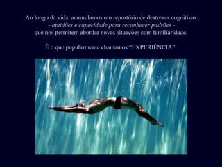 Ao longo da vida, acumulamos um reportório de destrezas cognitivas
        - aptidões e capacidade para reconhecer padrões -
   que nos permitem abordar novas situações com familiaridade.

       É o que popularmente chamamos “EXPERIÊNCIA”.
 