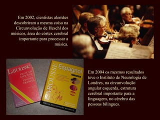 Em 2002, cientistas alemães
 descobriram a mesma coisa na
  Circunvolução de Heschl dos
músicos, área do córtex cerebral
    importante para processar a
                        música.




                                   Em 2004 os mesmos resultados
                                   teve o Instituto de Neurologia de
                                   Londres, na circunvolução
                                   angular esquerda, estrutura
                                   cerebral importante para a
                                   linguagem, no cérebro das
                                   pessoas bilingues.
 