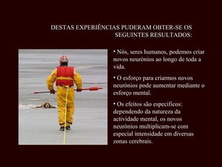 DESTAS EXPERIÊNCIAS PUDERAM OBTER-SE OS
                  SEGUINTES RESULTADOS:

                 • Nós, seres humanos, podemos criar
                 novos neurónios ao longo de toda a
                 vida.
                 • O esforço para criarmos novos
                 neurónios pode aumentar mediante o
                 esforço mental.
                 • Os efeitos são específicos:
                 dependendo da natureza da
                 actividade mental, os novos
                 neurónios multiplicam-se com
                 especial intensidade em diversas
                 zonas cerebrais.
 