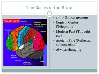 The Basics of the Brain15-33 Billion neuronsControl Center (Telephone)Modern Part (Thought, etc)Ancient Part (Reflexes, subconscious) Always changing
