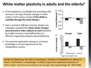 White matter plasticity in adults and the elderly?
 If the hypothesis is justifiable that anisotropy (FA)
  increase is the sign of plastic changes in white
  matter, it still remains unclear if this ability is
  available through the entire lifespan

 Over a period of 180 days training, Lövdén and
  colleagues revealed that white matter changes
  were presend in older subjects as well (indicated
  by a slight increase in axial diffusivities (i.e.
  diffusion magnitude along the axonal direction)

 The potential application relying on such basic
  knowledge is of vast importance for the
  rehabilitation science


                                                            Figure by Lövdén et al.

 Lövdén M, Bodammer NC, Kühn S, Kaufmann J, Schütze H, Tempelmann C, Heinze H,
 Düzel E, Schmiedek F, Lindenberger U (2010): Experience-dependent plasticity of
 white-matter microstructure extends into old age. Neuropsychologia 48: 3878-3883.
 