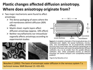 Plastic changes affected diffusion anisotropy.
Where does anisotropy originate from?
 Two major mechanisms were found to affect
  anisotropy:
     The dense packaging of axons where the
       cell membranes delimit diffusion (90%
       effect)
     Myelin sheet: myelin layers affect
       diffusion anisotropy (approx. 10% effect)
     Neither neurofilaments nor intracellular
       organella affects anisotropy according to
       experimental studies




                                                   Figures by Beaulieu et al.


 Beaulieu C (2002): The basis of anisotropic water diffusion in the nervous system ? a
 technical review. NMR Biomed 15: 435-455.
 