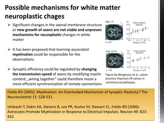 Possible mechanisms for white matter
neuroplastic chages
 Significant changes in the axonal membrane structure
  or new growth of axons are not viable and unproven
  mechanisms for neuroplastic changes in white
  matter

 It has been proposed that learning-associated
  myelination could be responsible for the
  observations

 Synaptic efficiency could be regulated by changing
  the transmission speed of axons by modifying myelin    Figure by Bengtsson et al.: piano
  content; „wiring together” could therefore mean a      practice improves FA values in
                                                         commissural pathways.
  more efficient synchronization of remote connections
Fields RD (2005): Myelination: An Overlooked Mechanism of Synaptic Plasticity? The
Neuroscientist 11: 528-531.

Ishibashi T, Dakin KA, Stevens B, Lee PR, Kozlov SV, Stewart CL, Fields RD (2006):
Astrocytes Promote Myelination in Response to Electrical Impulses. Neuron 49: 823-
832.
 
