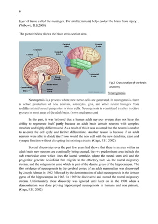 Neuroplasticity | DOC