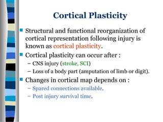 Cortical Plasticity
 Structural and functional reorganization of
cortical representation following injury is
known as cortical plasticity.
 Cortical plasticity can occur after :
– CNS injury (stroke, SCI)
– Loss of a body part (amputation of limb or digit).
 Changes in cortical map depends on :
– Spared connections available.
– Post injury survival time.
 