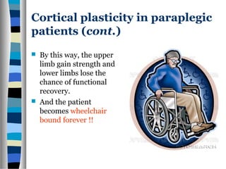 Cortical plasticity in paraplegic
patients (cont.)
 By this way, the upper
limb gain strength and
lower limbs lose the
chance of functional
recovery.
 And the patient
becomes wheelchair
bound forever !!
 
