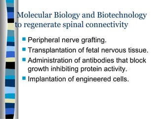 Molecular Biology and Biotechnology
to regenerate spinal connectivity
 Peripheral nerve grafting.
 Transplantation of fetal nervous tissue.
 Administration of antibodies that block
growth inhibiting protein activity.
 Implantation of engineered cells.
 
