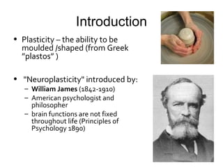 Plasticity Function Neuroplasticity | PPT