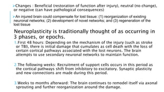 Neuroplasticity