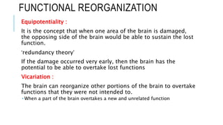 Neuroplasticity