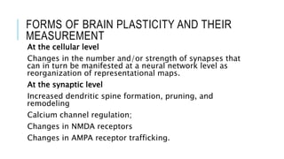 Neuroplasticity