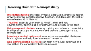 Neuroplasticity