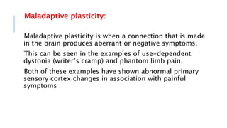 Neuroplasticity