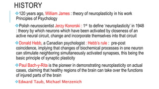 Neuroplasticity