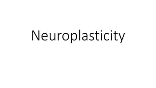 Neuroplasticity
 