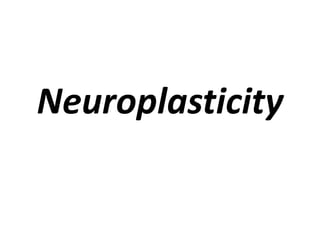 Neuroplasticity
 
