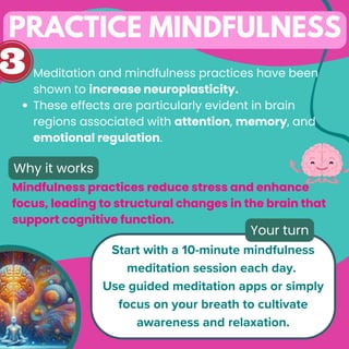 Muscle up your brain: 10 Proven Strategies to Boost Neuroplasticity! | PDF