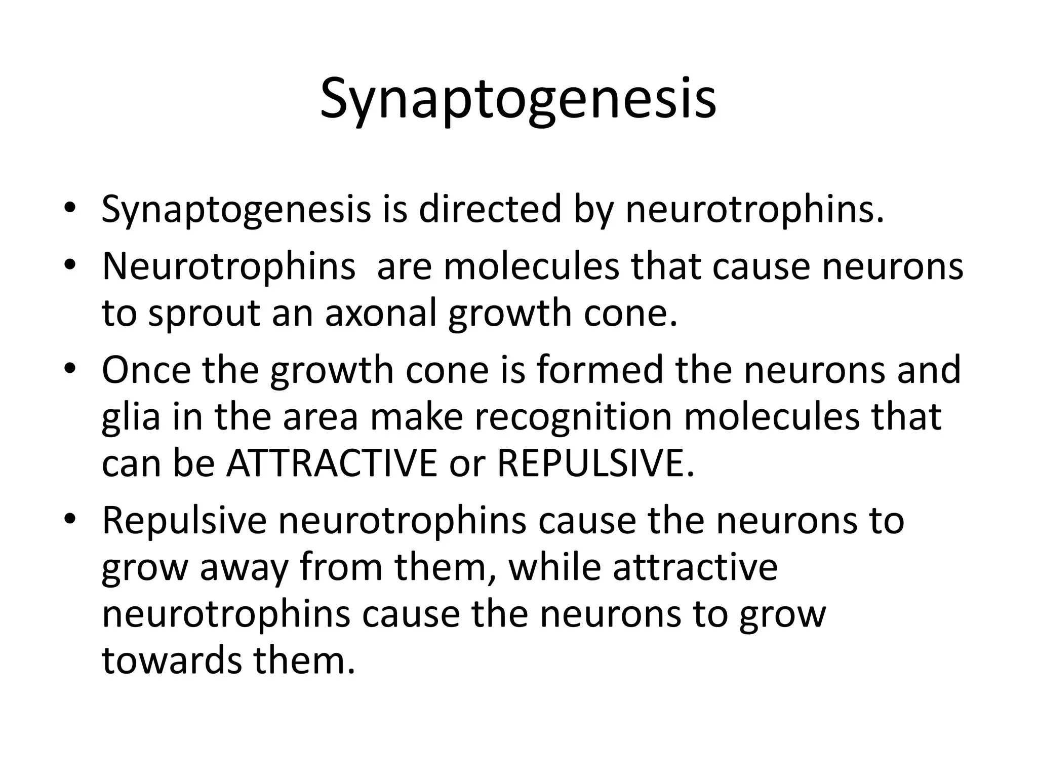 Synaptogenesis
• Synaptogenesis is directed by neurotrophins.
• Neurotrophins are molecules that cause neurons
  to sprout an axonal growth cone.
• Once the growth cone is formed the neurons and
  glia in the area make recognition molecules that
  can be ATTRACTIVE or REPULSIVE.
• Repulsive neurotrophins cause the neurons to
  grow away from them, while attractive
  neurotrophins cause the neurons to grow
  towards them.
 