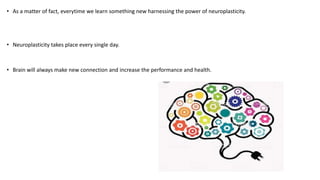 Reboot Your Brain: Neuroplasticity Strategies for Enhanced Focus and ...