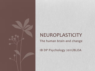 The human brain and change
IB DP Psychology 2011/BLOA
NEUROPLASTICITY
 