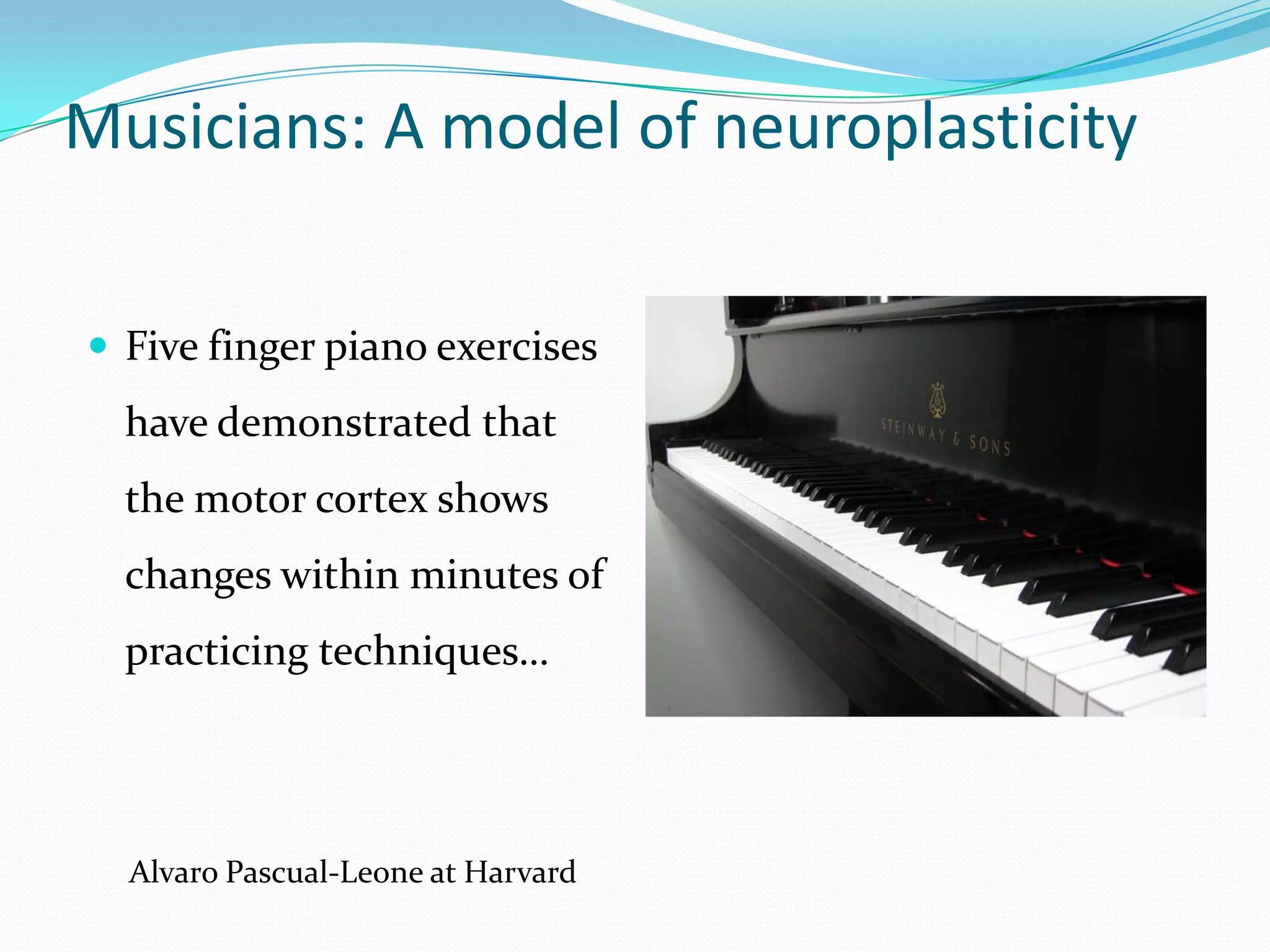 Musicians: A model of neuroplasticityFive finger piano exercises have demonstrated that the motor cortex shows changes within minutes of practicing techniques…Alvaro Pascual-Leone at Harvard