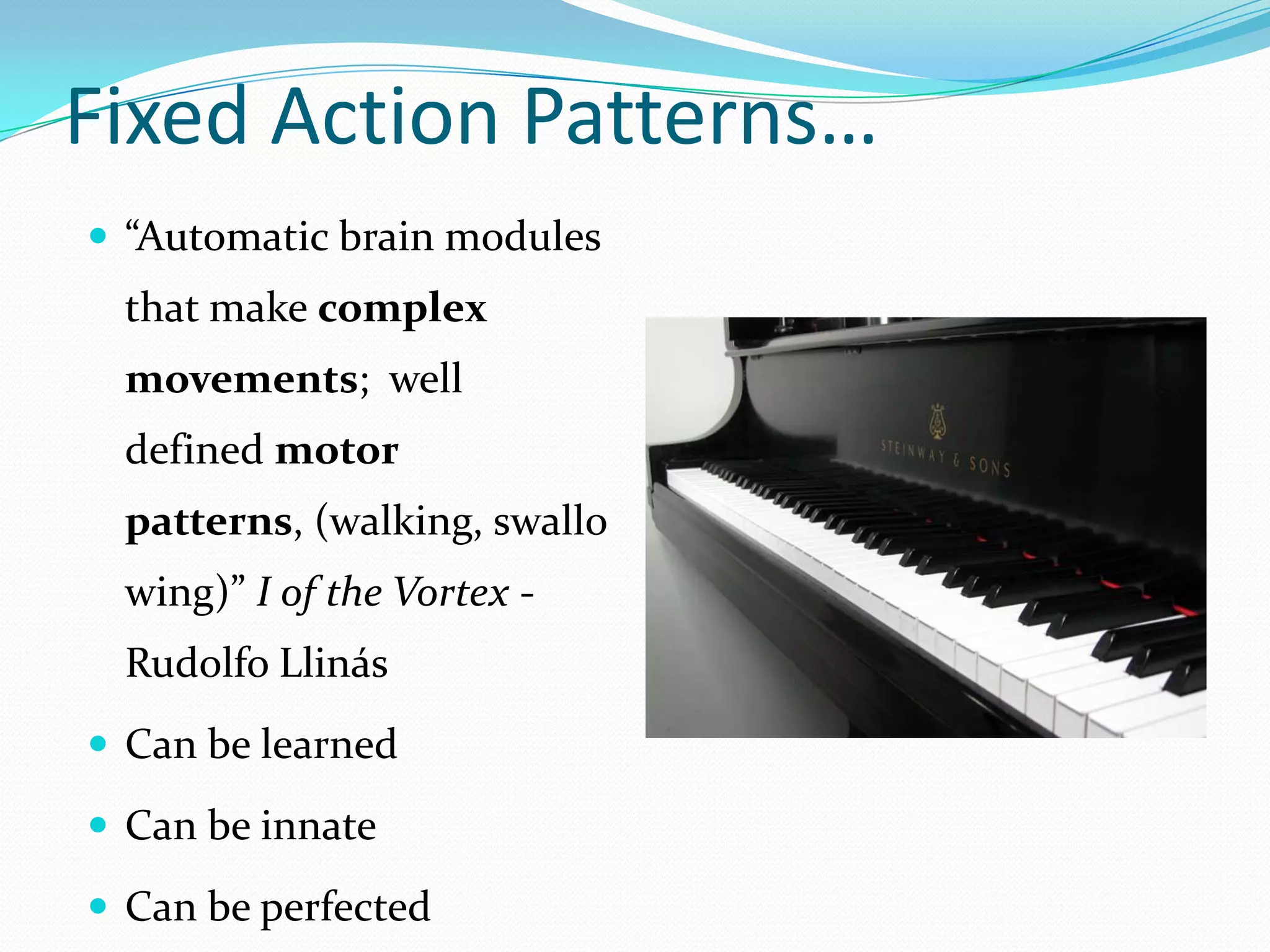 Fixed Action Patterns…“Automatic brain modules that make complex movements;  well defined motor patterns, (walking, swallowing)” I of the Vortex - RudolfoLlinásCan be learnedCan be innateCan be perfected