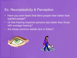 Ex. Neuroplasticity & Perception
• Have you ever heard that blind people hear better than
  sighted people?
• Or that hearing impaired persons see better than those
  with average hearing?
• Are these common beliefs fact or fiction?
 