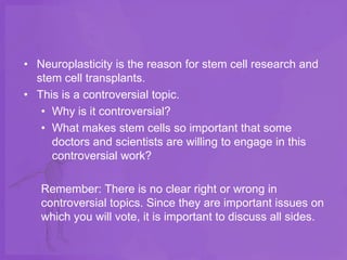 • Neuroplasticity is the reason for stem cell research and
  stem cell transplants.
• This is a controversial topic.
   • Why is it controversial?
   • What makes stem cells so important that some
     doctors and scientists are willing to engage in this
     controversial work?

   Remember: There is no clear right or wrong in
   controversial topics. Since they are important issues on
   which you will vote, it is important to discuss all sides.
 