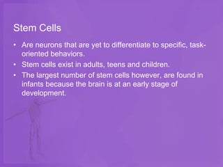 Stem Cells
• Are neurons that are yet to differentiate to specific, task-
  oriented behaviors.
• Stem cells exist in adults, teens and children.
• The largest number of stem cells however, are found in
  infants because the brain is at an early stage of
  development.
 