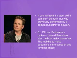 • If you transplant a stem cell it
  can learn the task that was
  previously performed by a
  damaged/destroyed neuron.

• Ex. Of Use: Parkinson’s
  patients’ brain differentiate
  stem cells to make dopamine.
  The inability to make
  dopamine is the cause of this
  terminal illness.
 