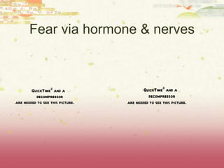 Fear via hormone & nerves 