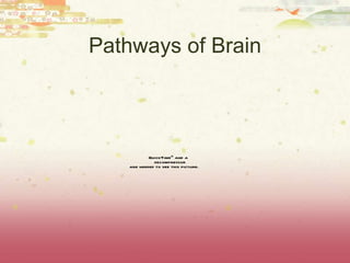 Pathways of Brain 