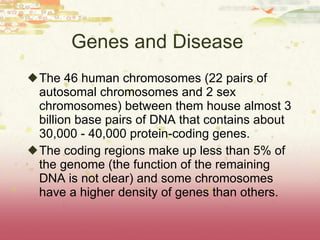 Genes and Disease  The 46 human chromosomes (22 pairs of autosomal chromosomes and 2 sex chromosomes) between them house almost 3 billion base pairs of DNA that contains about 30,000 - 40,000 protein-coding genes.  The coding regions make up less than 5% of the genome (the function of the remaining DNA is not clear) and some chromosomes have a higher density of genes than others. 