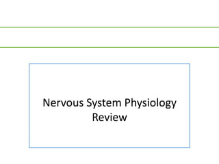 Nervous System Physiology
         Review
 
