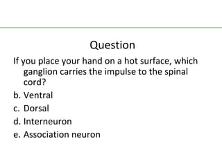 Question
If you place your hand on a hot surface, which
    ganglion carries the impulse to the spinal
    cord?
b. Ventral
c. Dorsal
d. Interneuron
e. Association neuron
 