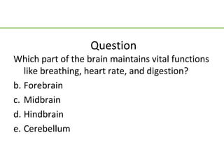 Question
Which part of the brain maintains vital functions
   like breathing, heart rate, and digestion?
b. Forebrain
c. Midbrain
d. Hindbrain
e. Cerebellum
 