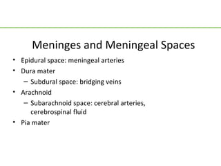 Meninges and Meningeal Spaces
• Epidural space: meningeal arteries
• Dura mater
   – Subdural space: bridging veins
• Arachnoid
   – Subarachnoid space: cerebral arteries,
     cerebrospinal fluid
• Pia mater
 
