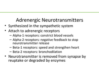 Adrenergic Neurotransmitters
• Synthesized in the sympathetic system
• Attach to adrenergic receptors
  – Alpha-1 receptors: constrict blood vessels
  – Alpha-2 receptors: negative feedback to stop
    neurotransmitter release
  – Beta-1 receptors: speed and strengthen heart
  – Beta-2 receptors: bronchodilation
• Neurotransmitter is removed from synapse by
  reuptake or degraded by enzymes
 