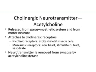 Cholinergic Neurotransmitter—
               Acetylcholine
• Released from parasympathetic system and from
  motor neurons
• Attaches to cholinergic receptors
   – Nicotinic receptors: excite skeletal muscle cells
   – Muscarinic receptors: slow heart, stimulate GI tract,
     vasodilate
• Neurotransmitter is removed from synapse by
  acetylcholinesterase
 