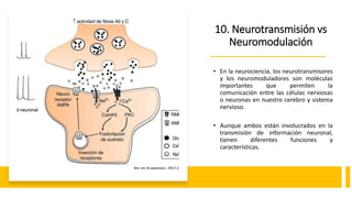 10. Neurotransmisión vs
Neuromodulación
• En la neurociencia, los neurotransmisores
y los neuromoduladores son moléculas
importantes que permiten la
comunicación entre las células nerviosas
o neuronas en nuestro cerebro y sistema
nervioso.
• Aunque ambos están involucrados en la
transmisión de información neuronal,
tienen diferentes funciones y
características.
 