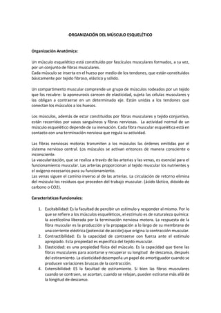 ORGANIZACIÓN DEL MÚSCULO ESQUELÉTICO
Organización Anatómica:
Un músculo esquelético está constituido por fascículos musculares formados, a su vez,
por un conjunto de fibras musculares.
Cada músculo se inserta en el hueso por medio de los tendones, que están constituidos
básicamente por tejido fibroso, elástico y sólido.
Un compartimento muscular comprende un grupo de músculos rodeados por un tejido
que los recubre: la aponeurosis carecen de elasticidad, sujeta las células musculares y
las obligan a contraerse en un determinado eje. Están unidas a los tendones que
conectan los músculos a los huesos.
Los músculos, además de estar constituidos por fibras musculares y tejido conjuntivo,
están recorridos por vasos sanguíneos y fibras nerviosas. La actividad normal de un
músculo esquelético depende de su inervación. Cada fibra muscular esquelética está en
contacto con una terminación nerviosa que regula su actividad.
Las fibras nerviosas motoras transmiten a los músculos las órdenes emitidas por el
sistema nervioso central. Los músculos se activan entonces de manera consciente o
inconsciente.
La vascularización, que se realiza a través de las arterias y las venas, es esencial para el
funcionamiento muscular. Las arterias proporcionan al tejido muscular los nutrientes y
el oxígeno necesarios para su funcionamiento.
Las venas siguen el camino inverso al de las arterias. La circulación de retorno elimina
del músculo los residuos que proceden del trabajo muscular. (ácido láctico, dióxido de
carbono o CO2).
Características Funcionales:
1. Excitabilidad: Es la facultad de percibir un estímulo y responder al mismo. Por lo
que se refiere a los músculos esqueléticos, el estímulo es de naturaleza química:
la acetilcolina liberada por la terminación nerviosa motora. La respuesta de la
fibra muscular es la producción y la propagación a lo largo de su membrana de
una corriente eléctrica (potencial de acción) que origina la contracción muscular.
2. Contractibilidad: Es la capacidad de contraerse con fuerza ante el estímulo
apropiado. Esta propiedad es específica del tejido muscular.
3. Elasticidad: es una propiedad física del músculo. Es la capacidad que tiene las
fibras musculares para acortarse y recuperar su longitud de descanso, después
del estiramiento. La elasticidad desempeña un papel de amortiguador cuando se
producen variaciones bruscas de la contracción.
4. Extensibilidad: ES la facultad de estiramiento. Si bien las fibras musculares
cuando se contraen, se acortan, cuando se relajan, pueden estirarse más allá de
la longitud de descanso.
 