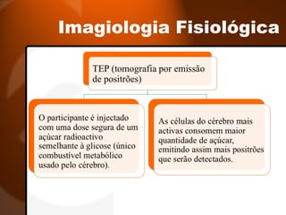 Imagiologia Fisiológica 