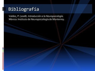 Valdez, P. (2008). Introducción a la Neuropsicología. México: Instituto de Neuropsicología de Monterrey.Bibliografía 