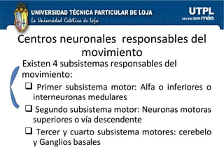 Centros neuronales  responsables del movimiento Existen 4 subsistemas responsables del movimiento: Primer subsistema motor: Alfa o inferiores o interneuronas medulares Segundo subsistema motor: Neuronas motoras superiores o vía descendente Tercer y cuarto subsistema motores: cerebelo y Ganglios basales 