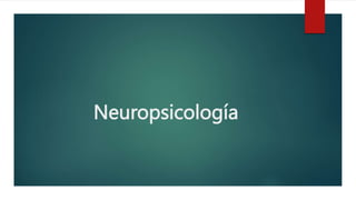 Neuropsicología
 