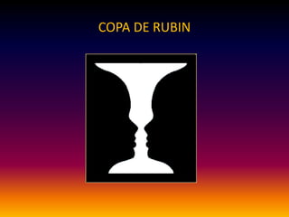 COPA DE RUBIN
 